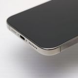 �ݾ� ����Ʊ�� SIM�ե꡼ iPhone 16 Pro Max 1TB �ʥ���������˥���