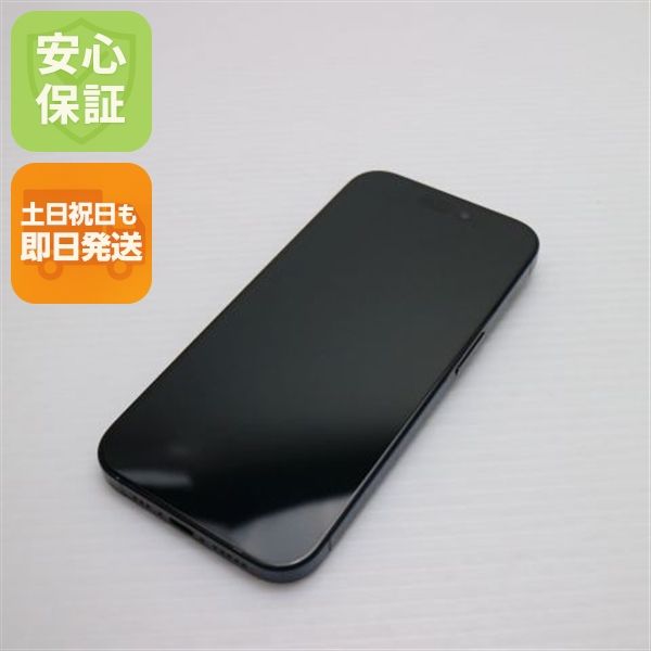 �¿��ݾ� ���� SIM�ե꡼ iPhone15 Pro 256GB �֥롼�����˥���