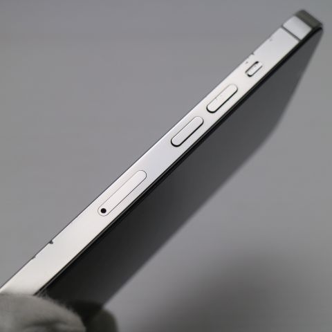�¿��ݾ� Ķ���� SIM�ե꡼ iPhone13 Pro 512GB ����С� �����