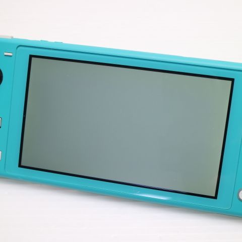 �¿��ݾ� ���� Nintendo Switch Lite ����������