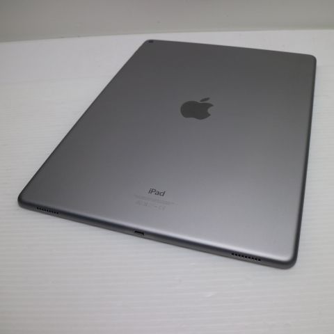 �¿��ݾ��� Ķ���� iPad Pro 12.9����� Wi-Fi 32GB ���ڡ������쥤