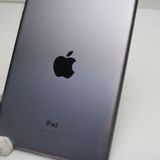 �¿��ݾ��� Ķ���� iPad mini 2 Wi-Fi 32GB ���ڡ������쥤