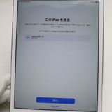 �¿��ݾ��� Ķ���� SIM�ե꡼ iPad mini 4 Cellular��64GB ����С�