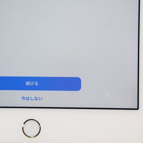 Ķ���� SIM�ե꡼ iPad mini 4 Cellular ����顼 128GB �������
