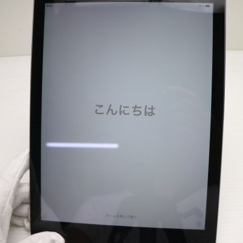 �¿��ݾ��� ���� iPad Air Wi-Fi 32GB ���ڡ������쥤  �������