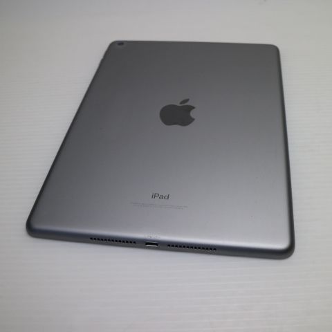 Ķ���� iPad ��5���� Wi-Fi 128GB ���ڡ������쥤