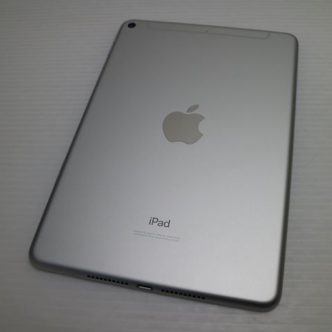 ���� SIM�ե꡼ iPad mini 5 Wi-Fi+����顼  64GB ����С�