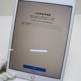 ���� SIM�ե꡼ iPad7 ��7���� Wi-Fi+����顼  128GB  ����С�