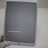 �¿��ݾ� Ķ���� iPad Air 3 wi-fi��ǥ� 64GB  ����С�