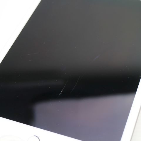 ���� SIM�ե꡼ iPad mini 5 Wi-Fi+����顼  64GB ����С�