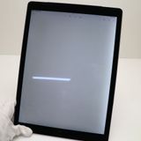 ���� SIM�ե꡼ iPad Pro 12.9����� ����顼 128GB ���ڡ������쥤