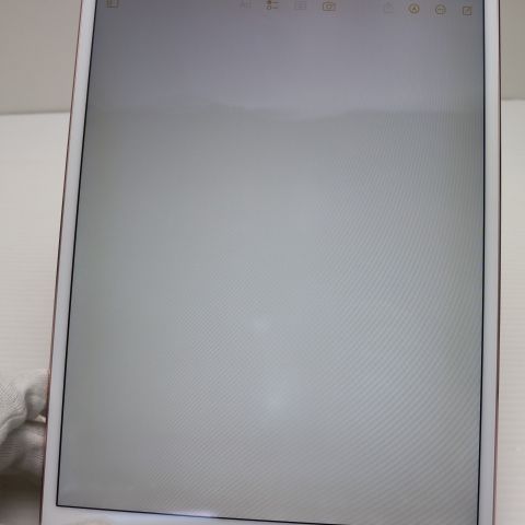 ¿ݾ Ķ SIMե꡼ iPad Pro 10.5 64GB 