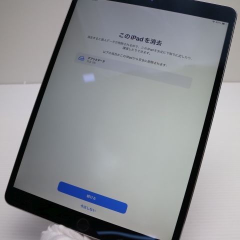 �¿��ݾ� Ķ���� iPad Pro 10.5����� Wi-Fi 256GB ���ڡ������쥤