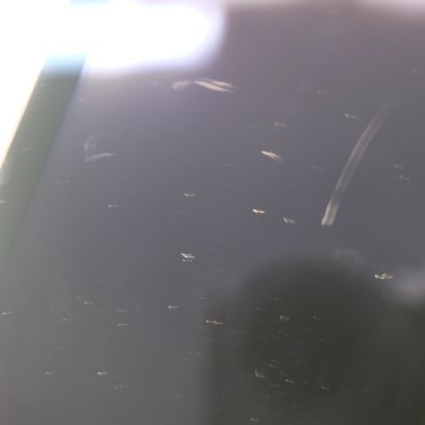 �¿��ݾ� Ķ���� iPad mini ��6���� Wi-Fi 64GB ���ڡ������쥤