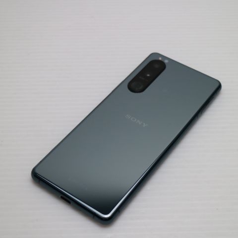 �¿��ݾ� Ķ���� SIM�ե꡼ Xperia 5 III XQ-BQ42 ���꡼��