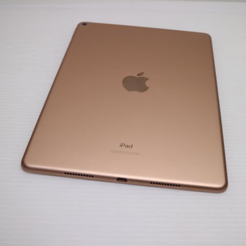 �¿��ݾ� Ķ���� iPad Air 3 wi-fi��ǥ� 64GB  �������