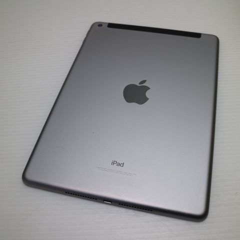 Ķ���� SIM�ե꡼ iPad5 ��5���� Wi-Fi+Cellular 32GB ���ڡ������쥤