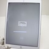 Ķ���� SIM�ե꡼ iPad Pro ��2���� 12.9����� Wi-Fi+����顼  256GB