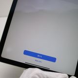 Ķ���� iPad Air ��4���� Wi-Fi 256GB ���꡼�� ¨��ȯ�� ������ȯ��