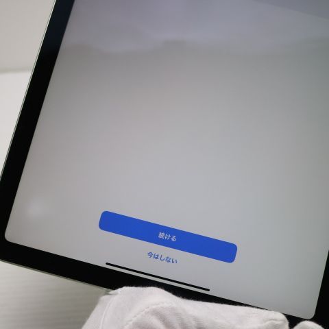 Ķ���� iPad Air ��4���� Wi-Fi 256GB ���꡼�� ¨��ȯ�� ������ȯ��