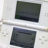 ¿ݾ  ˥ƥɡDS Lite 饤 ۥ磻  