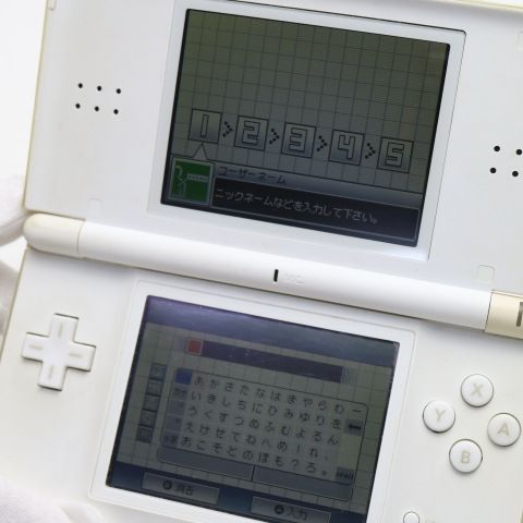 ¿ݾ  ˥ƥɡDS Lite 饤 ۥ磻  