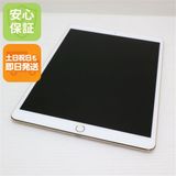 �¿��ݾ� Ķ���� iPad Pro 10.5����� Wi-Fi 256GB ������� ����