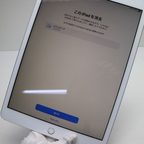 �¿��ݾ� Ķ���� iPad7 ��7���� wi-fi��ǥ� 128GB  ����С�