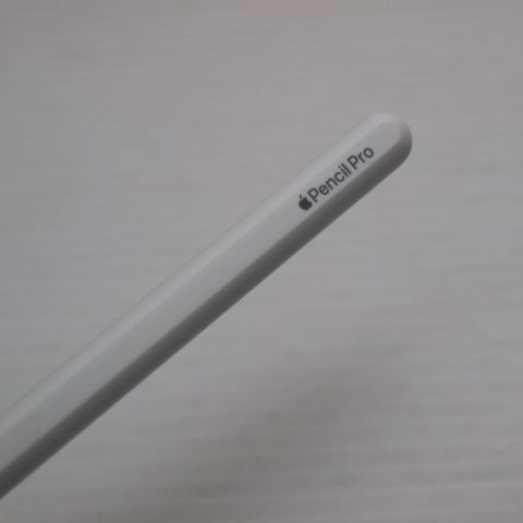 �¿��ݾ� ����Ʊ�� Apple Pencil Pro �ۥ磻��