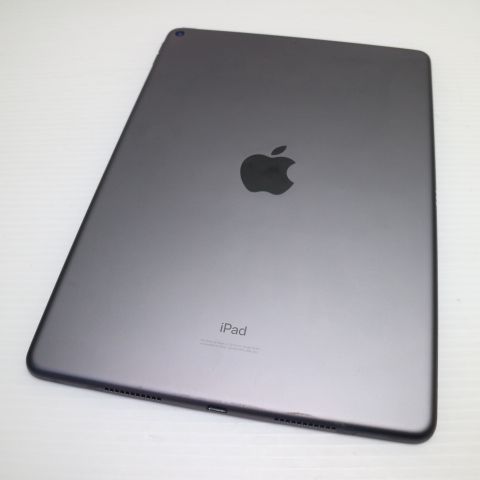 �¿��ݾ� Ķ���� iPad Air 3 wi-fi��ǥ� 256GB  ���ڡ������쥤