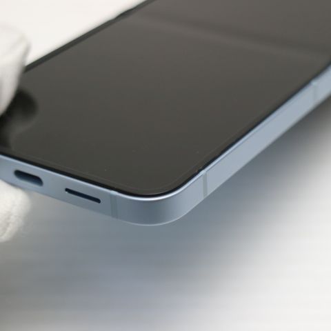 �¿��ݾ� ����Ʊ�� SIM�ե꡼ Galaxy Z Flip6 256GB �֥롼