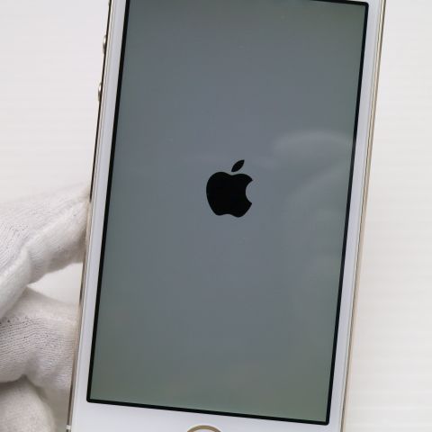 ¿ݾ Ķ DoCoMo iPhone5s 16GB   