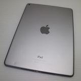 �¿��ݾ��� ���� iPad Air 2 Wi-Fi 16GB ���ڡ������쥤  �������