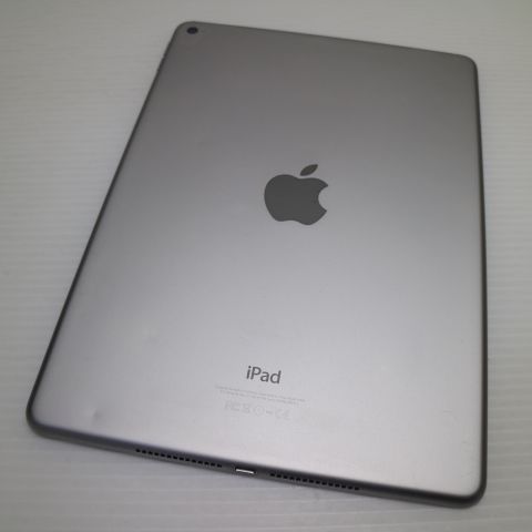�¿��ݾ��� ���� iPad Air 2 Wi-Fi 16GB ���ڡ������쥤  �������