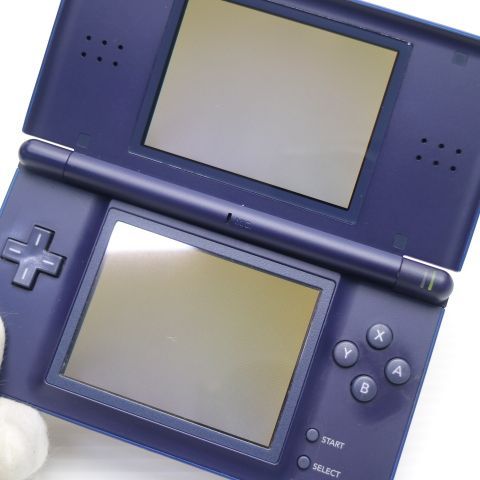 �¿��ݾ��� ������� �˥�ƥ�ɡ�DS Lite �饤�� �ͥ��ӡ�  �������