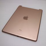 �¿��ݾ� ���� SIM�ե꡼ iPad7 ��7���� Wi-Fi+����顼  32GB  �������