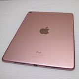 �¿��ݾ� Ķ���� iPad Pro 9.7����� Wi-Fi 32GB �������������