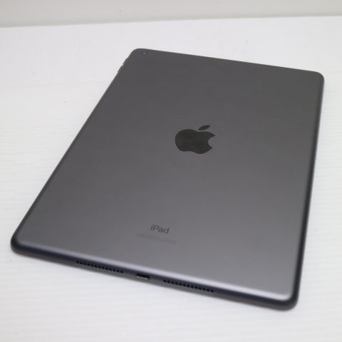�¿��ݾ� Ķ���� iPad ��8���� Wi-Fi 128GB ���ڡ������쥤 ����������¨��ȯ��