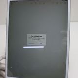 Ķ SIMե꡼ iPad Air 3 Cellular 256GB  С 