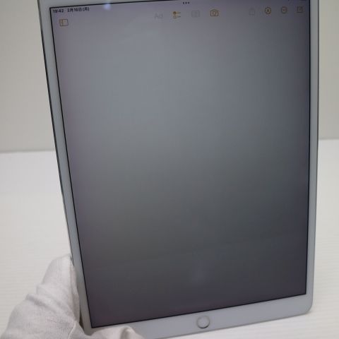 �¿��ݾ� Ķ���� iPad Pro 10.5����� Wi-Fi 64GB ����С� ����