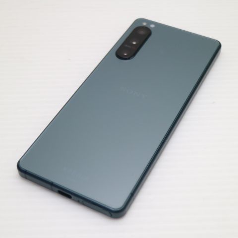 �¿��ݾ� ���� SOG09 Xperia 5 IV ���꡼��
