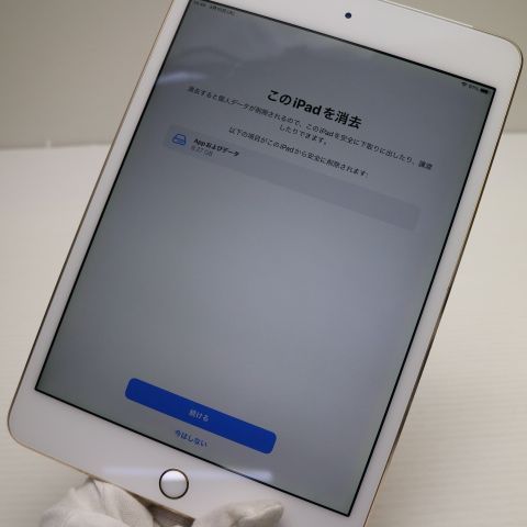 �¿��ݾ��� Ķ���� SIM�ե꡼ iPad mini 4 ����顼 16GB �������