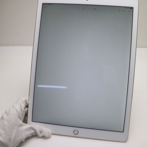 �¿��ݾ��� Ķ���� iPad Pro 12.9����� Wi-Fi 128GB �������  �������