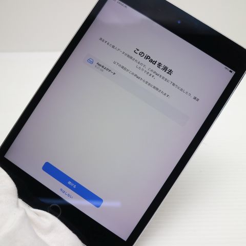 �¿��ݾ��� ���� iPad mini 4 Wi-Fi 128GB ���ڡ������쥤  �������