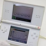 �¿��ݾ��� ���� �˥�ƥ�ɡ�DS Lite �饤�� �ۥ磻��  �������