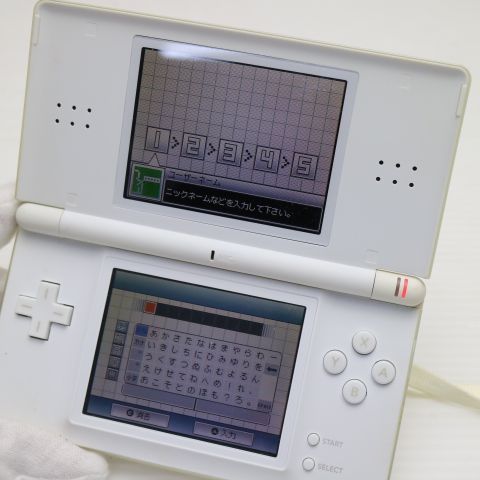 �¿��ݾ��� ���� �˥�ƥ�ɡ�DS Lite �饤�� �ۥ磻��  �������