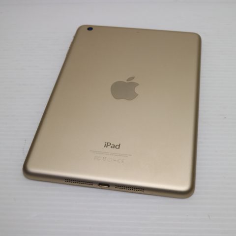 �¿��ݾ��� ���� iPad mini 3 Wi-Fi 64GB �������  �������