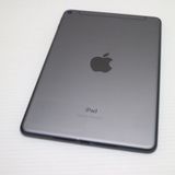 ����Ʊ�� SIM�ե꡼ iPad mini 5 Cellular 64GB ���ڡ������쥤