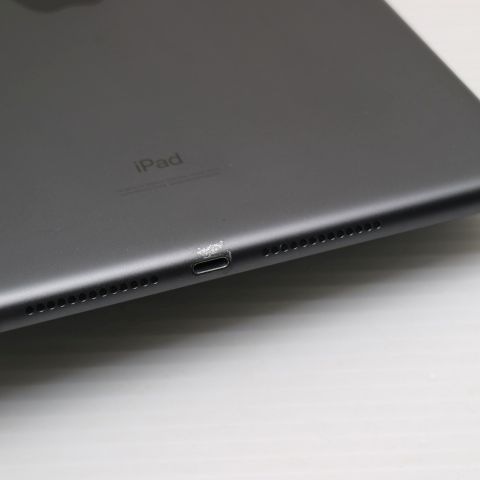 �¿��ݾ� Ķ���� iPad ��8���� Wi-Fi 32GB ���ڡ������쥤 ¨��ȯ�� ������ȯ��