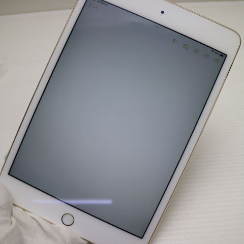 �¿��ݾ��� Ķ���� iPad mini 4 Wi-Fi 16GB �������  �������